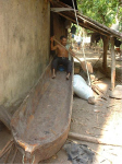 BarillasCanoe.jpg (55758 bytes)