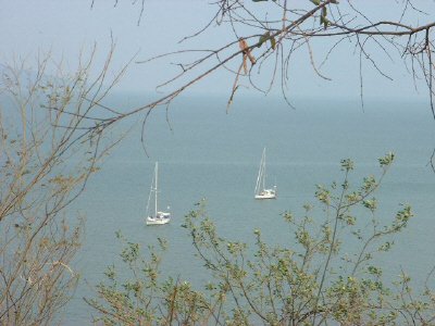 FonsGemMav.jpg (75144 bytes)