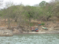 FonsPangas.jpg (103174 bytes)