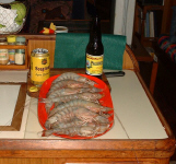 FonsShrimp.jpg (88635 bytes)
