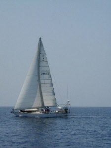 UwayArrival.jpg (31655 bytes)