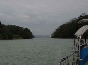 Cut.jpg (41430 bytes)