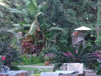 Ajijic3.jpg (166180 bytes)