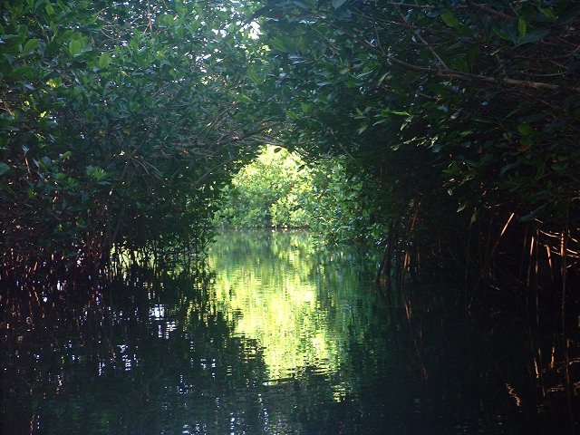 Tenacatita River